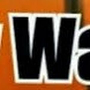 Meet your Posher, Daisy